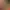 https://shared.akamai.steamstatic.com/store_item_assets/steam/apps/2987670/header.jpg?t=1717787322
