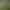 Twizzle Puzzle: Dinosaurs.