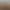 Avaricity: New Shadows.