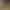 https://shared.akamai.steamstatic.com/store_item_assets/steam/apps/2990510/header.jpg?t=1731363382
