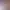 https://shared.akamai.steamstatic.com/store_item_assets/steam/apps/2991980/header.jpg?t=1719824287