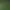 Insectum - Epic Battles of Bugs.