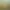 https://shared.akamai.steamstatic.com/store_item_assets/steam/apps/2997450/header.jpg?t=1719155398