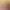 https://shared.akamai.steamstatic.com/store_item_assets/steam/apps/3002920/header.jpg?t=1737920757