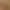 100 Egypt Cats.
