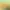 https://shared.akamai.steamstatic.com/store_item_assets/steam/apps/3021440/header.jpg?t=1728872121