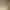 https://shared.akamai.steamstatic.com/store_item_assets/steam/apps/3022950/header.jpg?t=1745880661