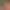 https://shared.akamai.steamstatic.com/store_item_assets/steam/apps/3025140/header.jpg?t=1746186357
