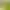 https://shared.akamai.steamstatic.com/store_item_assets/steam/apps/3027630/header.jpg?t=1723432322