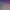 https://shared.akamai.steamstatic.com/store_item_assets/steam/apps/3031870/header.jpg?t=1733734239