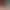 https://shared.akamai.steamstatic.com/store_item_assets/steam/apps/3038080/header.jpg?t=1744694272