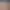 https://shared.akamai.steamstatic.com/store_item_assets/steam/apps/3043470/d2a583d22bead81d57465060423e23c35c539435/header.jpg?t=1750176019