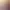 https://shared.akamai.steamstatic.com/store_item_assets/steam/apps/3044520/header.jpg?t=1744580067