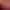 https://shared.akamai.steamstatic.com/store_item_assets/steam/apps/304480/header.jpg?t=1591802280
