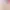 https://shared.akamai.steamstatic.com/store_item_assets/steam/apps/3049460/header.jpg?t=1742563645