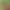 https://shared.akamai.steamstatic.com/store_item_assets/steam/apps/3050700/header.jpg?t=1744862699
