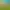https://shared.akamai.steamstatic.com/store_item_assets/steam/apps/306020/header.jpg?t=1725022786