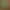 Bloons TD 5.