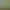 Bloons TD 5.