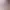 https://shared.akamai.steamstatic.com/store_item_assets/steam/apps/3069410/header.jpg?t=1744703433