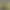 TCG Card Shop Simulator.