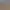 TCG Card Shop Simulator.