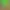 TCG Card Shop Simulator.