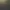 TCG Card Shop Simulator.