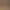 TCG Card Shop Simulator.