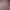 https://shared.akamai.steamstatic.com/store_item_assets/steam/apps/3070560/header.jpg?t=1727487364