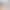 https://shared.akamai.steamstatic.com/store_item_assets/steam/apps/3072060/header.jpg?t=1736981460