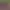 https://shared.akamai.steamstatic.com/store_item_assets/steam/apps/3072640/5292e4a82ecd074a11d9b59964fd6decf7913223/header.jpg?t=1744875578