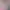 https://shared.akamai.steamstatic.com/store_item_assets/steam/apps/3075020/header.jpg?t=1749974037
