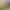 https://shared.akamai.steamstatic.com/store_item_assets/steam/apps/3075500/header.jpg?t=1745316826