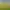 https://shared.akamai.steamstatic.com/store_item_assets/steam/apps/307760/header.jpg?t=1726150198