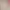 https://shared.akamai.steamstatic.com/store_item_assets/steam/apps/3080940/header.jpg?t=1724310644