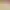 https://shared.akamai.steamstatic.com/store_item_assets/steam/apps/3081320/header.jpg?t=1749429349