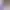 https://shared.akamai.steamstatic.com/store_item_assets/steam/apps/3088120/header.jpg?t=1722578952