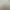 Liminal Border Part III.