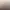 Liminal Border Part III.