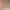 https://shared.akamai.steamstatic.com/store_item_assets/steam/apps/3095830/header.jpg?t=1744298773