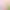 https://shared.akamai.steamstatic.com/store_item_assets/steam/apps/3100090/header.jpg?t=1730713840