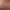 https://shared.akamai.steamstatic.com/store_item_assets/steam/apps/3103370/header.jpg?t=1742918768
