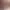 https://shared.akamai.steamstatic.com/store_item_assets/steam/apps/310950/header.jpg?t=1705467952