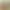 https://shared.akamai.steamstatic.com/store_item_assets/steam/apps/3110250/header.jpg?t=1737797773