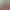 https://shared.akamai.steamstatic.com/store_item_assets/steam/apps/3110370/header.jpg?t=1750405582