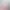 https://shared.akamai.steamstatic.com/store_item_assets/steam/apps/3110520/header.jpg?t=1736981962