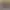 https://shared.akamai.steamstatic.com/store_item_assets/steam/apps/3113120/header.jpg?t=1727785393