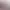 https://shared.akamai.steamstatic.com/store_item_assets/steam/apps/3115500/header.jpg?t=1732442913