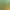 https://shared.akamai.steamstatic.com/store_item_assets/steam/apps/3116810/header.jpg?t=1741927316